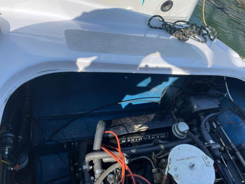 Tullio Abbate Sea Star