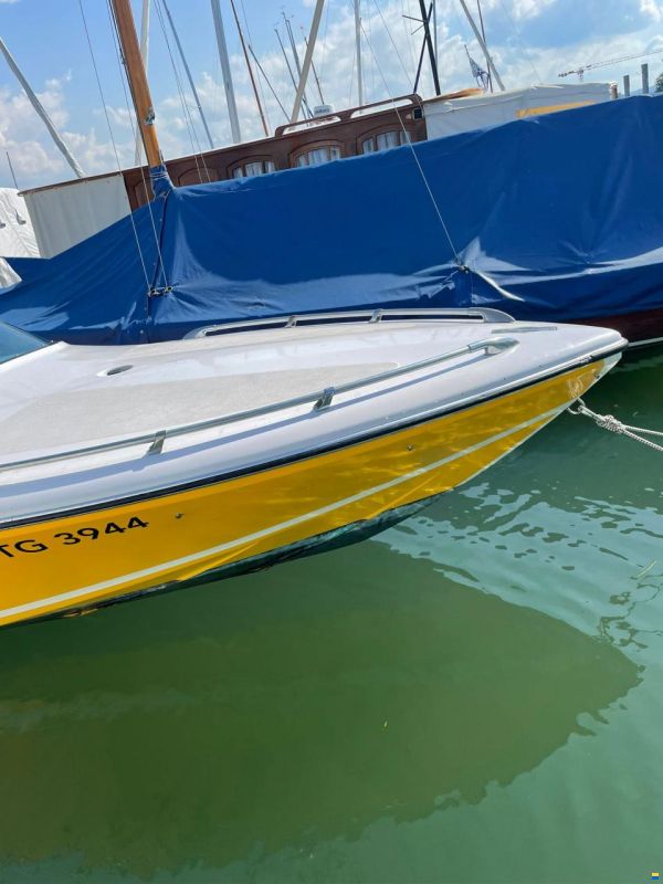 Tullio Abbate Sea Star