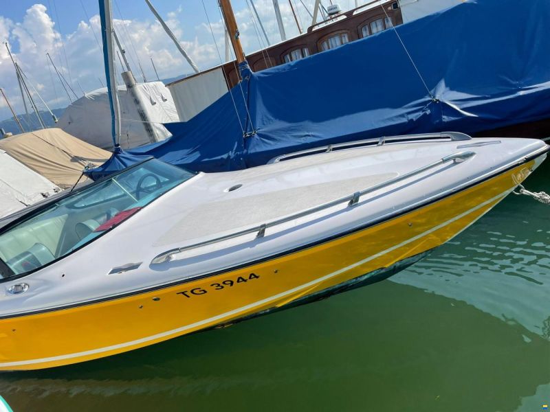 Tullio Abbate Sea Star