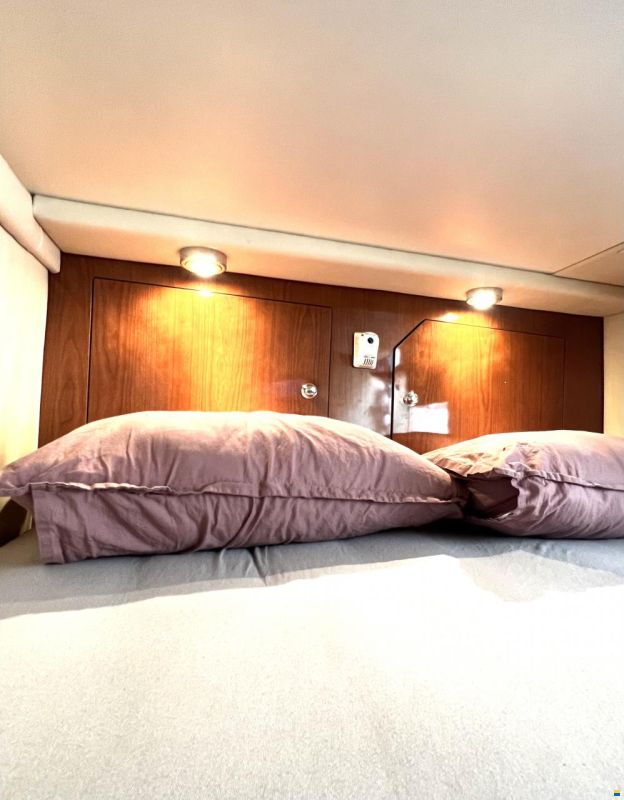 Regal 2565