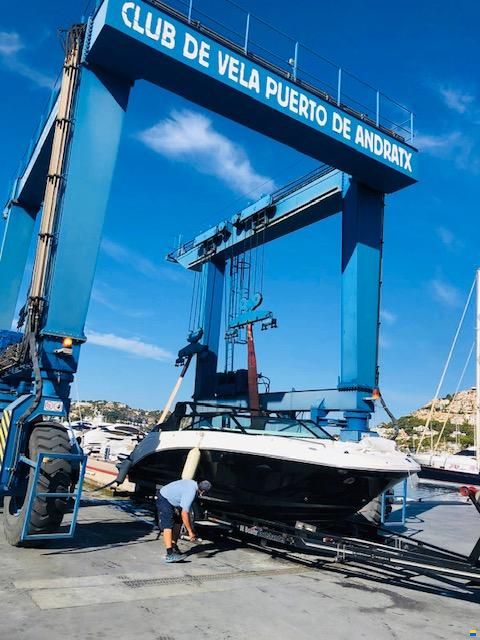 Sea Ray SDX 250