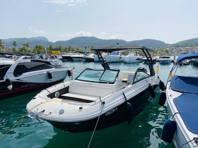 Sea Ray SDX 250