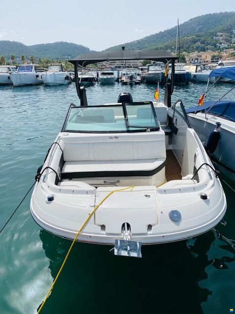Sea Ray SDX 250