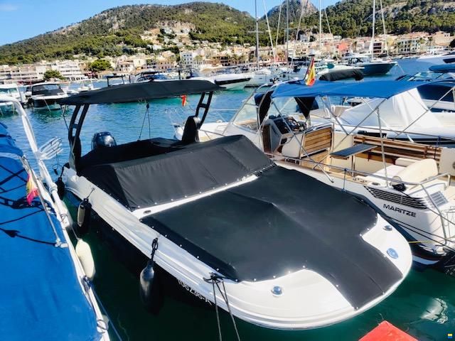 Sea Ray SDX 250