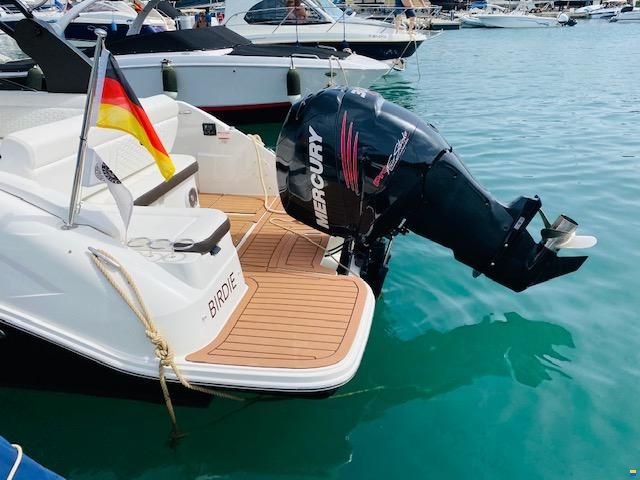 Sea Ray SDX 250