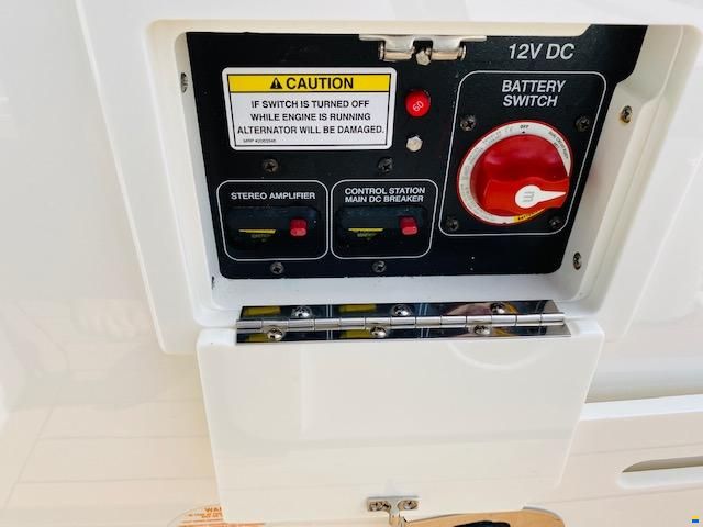 Sea Ray SDX 250