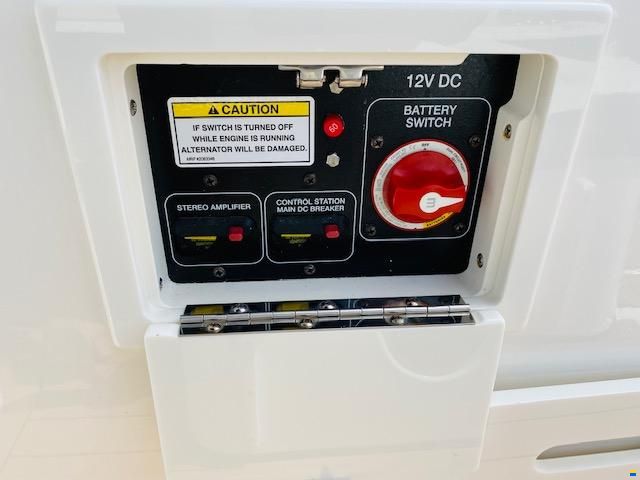 Sea Ray SDX 250