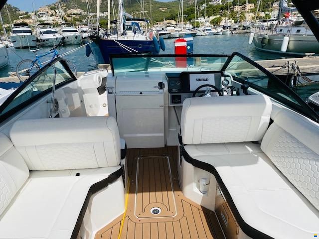 Sea Ray SDX 250