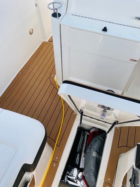 Sea Ray SDX 250