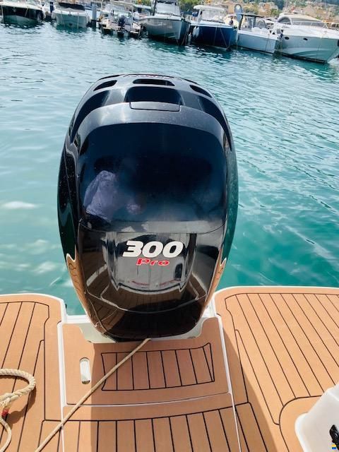 Sea Ray SDX 250