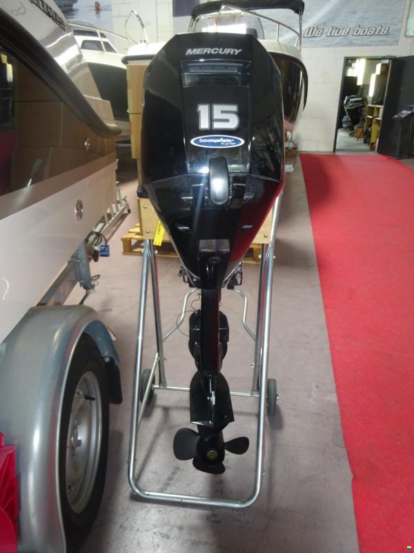 Mercury F15 ELPT