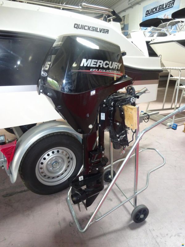 Mercury F15 ELPT
