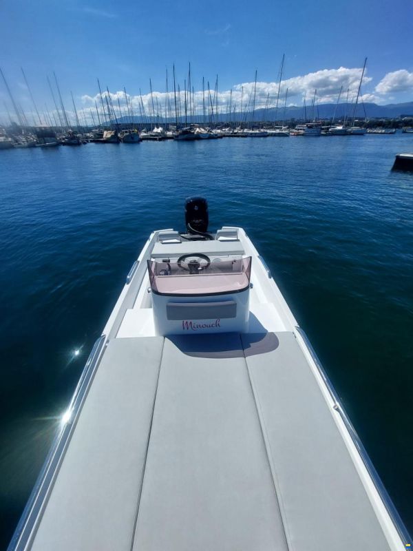 Black Pepper Tender 17