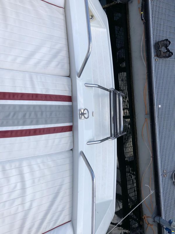 Sunseeker THUNDERHAWK 43