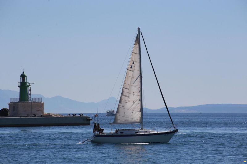 Tica 29 Feet