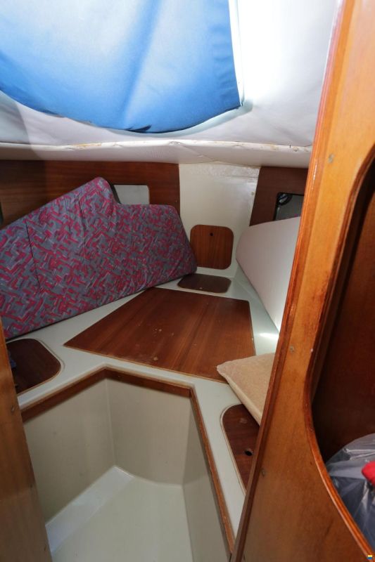 Tica 29 Feet
