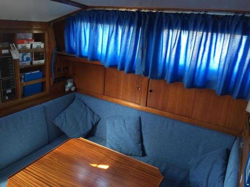 Compass 31