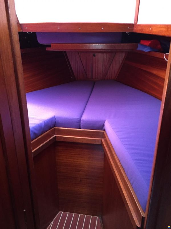 Compass 31