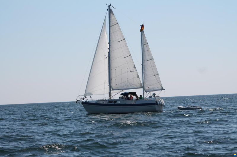 Compass 31