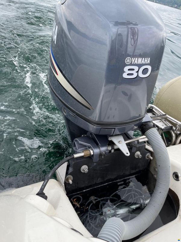 Zodiac Medline 550