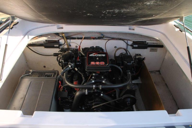 Tullio Abbate SEA STAR SUPER