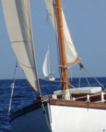 Passera Istriana