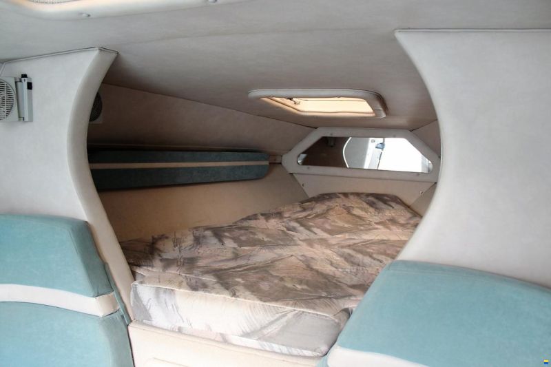 Sea Ray Envision 29 Concept Mint Edition