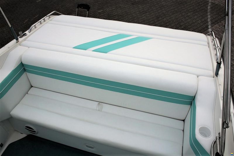 Sea Ray Envision 29 Concept Mint Edition