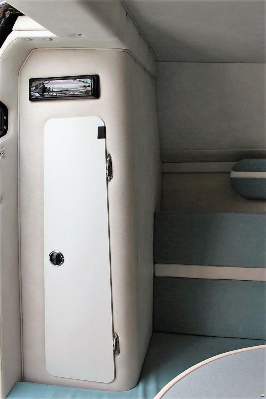Sea Ray Envision 29 Concept Mint Edition
