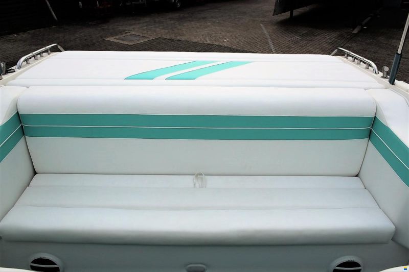Sea Ray Envision 29 Concept Mint Edition