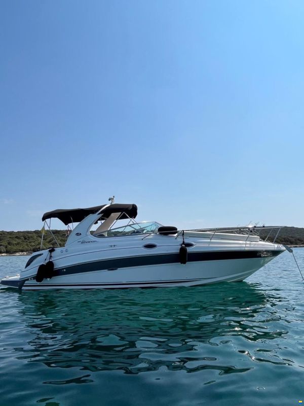 Sea Ray 315 Da