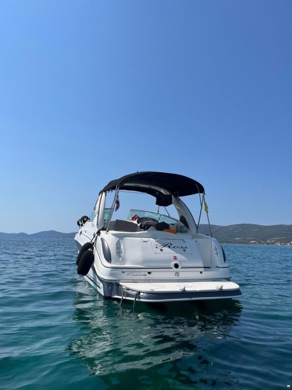 Sea Ray 315 Da