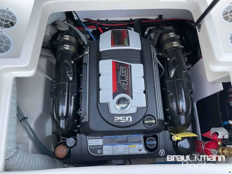 Sea Ray 190 SPX WBT
