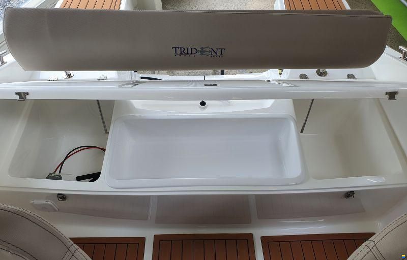 Trident 530 Sport