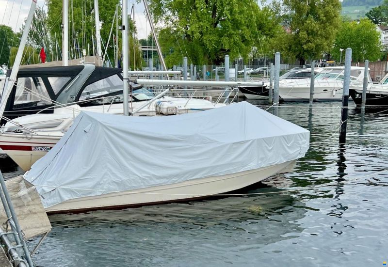 Stingray 659 zp