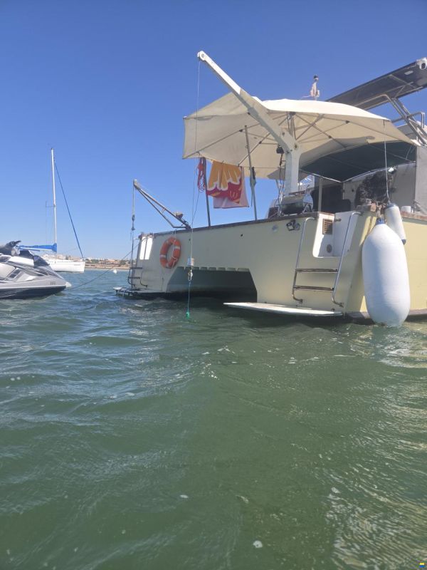 turbocat 41