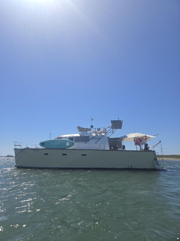 turbocat 41