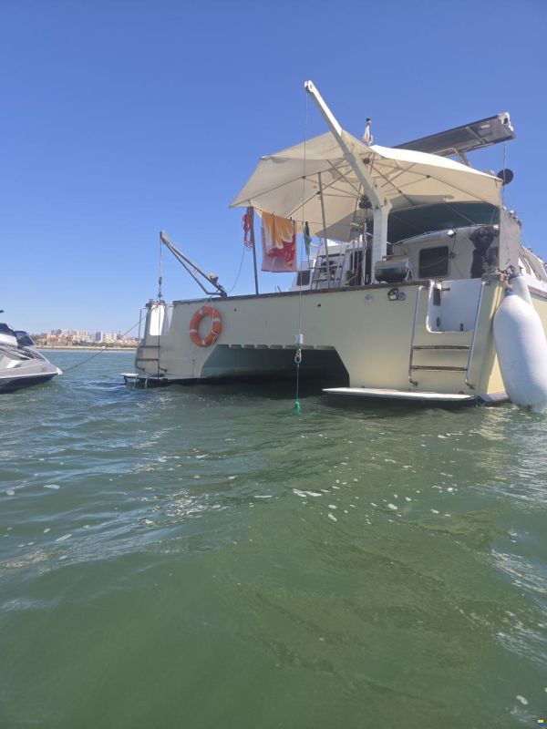 turbocat 41