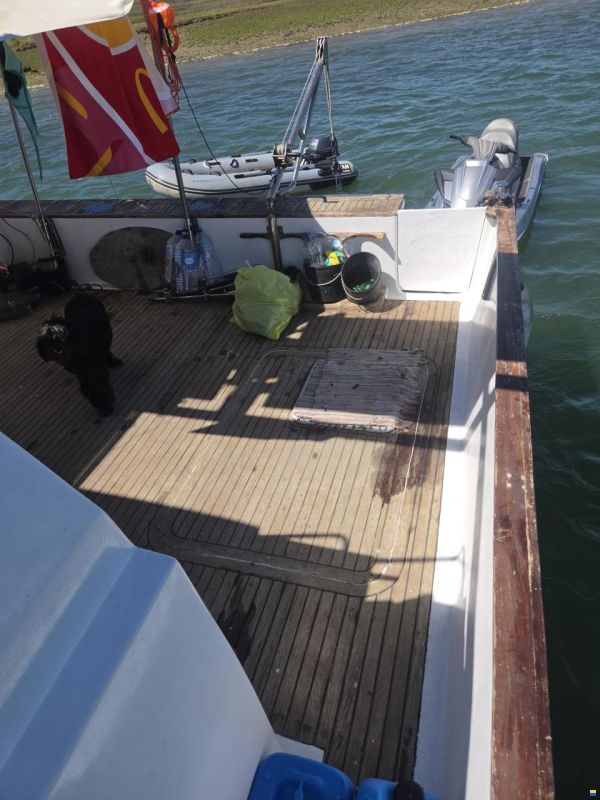 turbocat 41