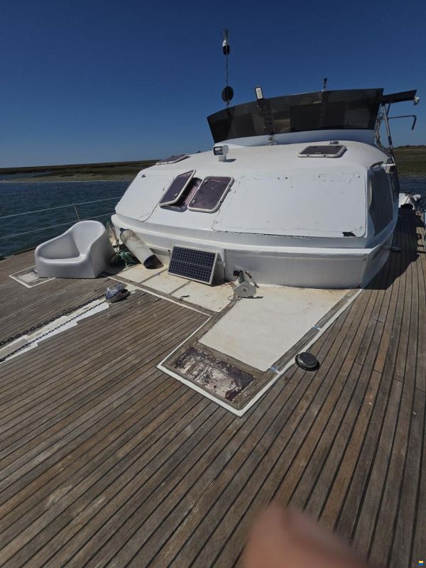 turbocat 41