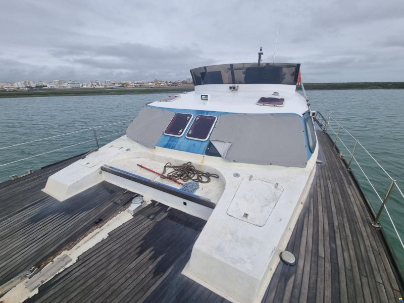 turbocat 41
