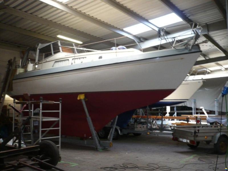 Compass 31