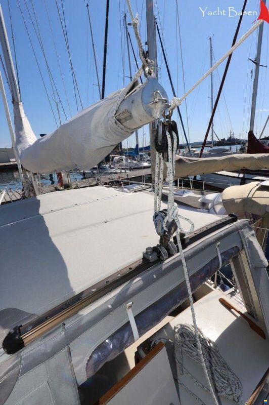 Compass 31