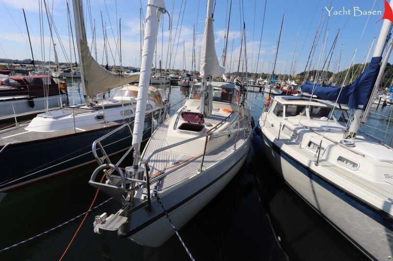 Compass 31