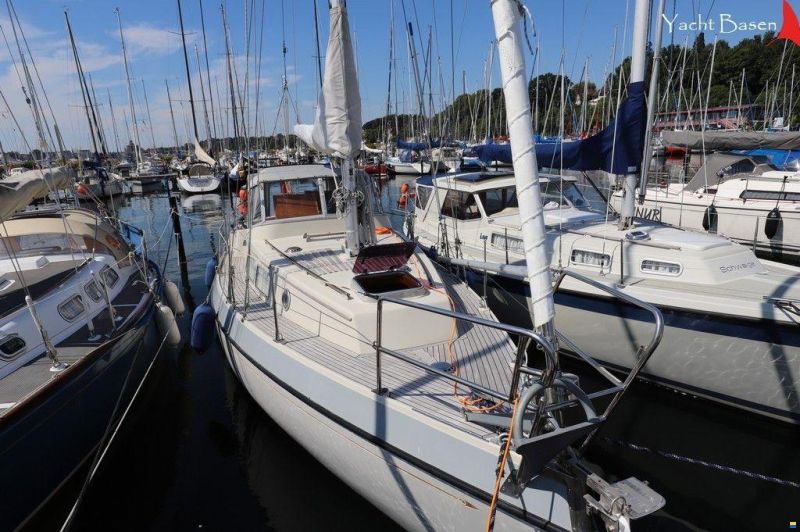 Compass 31