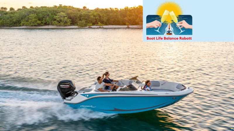 Bayliner Element M17
