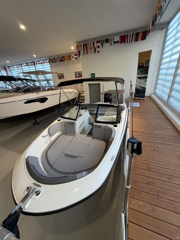 Bayliner Element M17