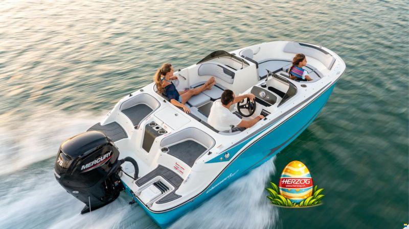 Bayliner Element M17