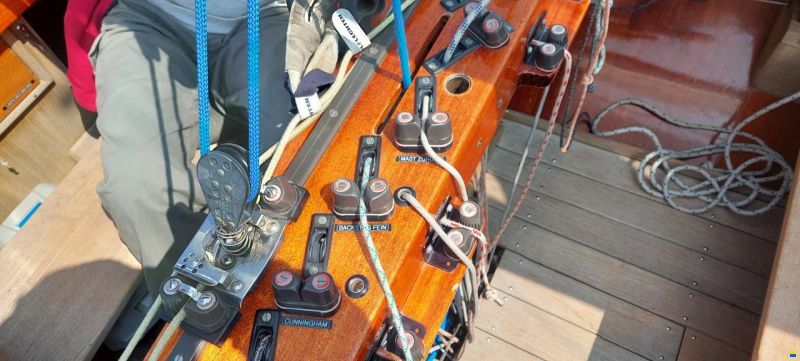 Wirz Drachen SUI 262