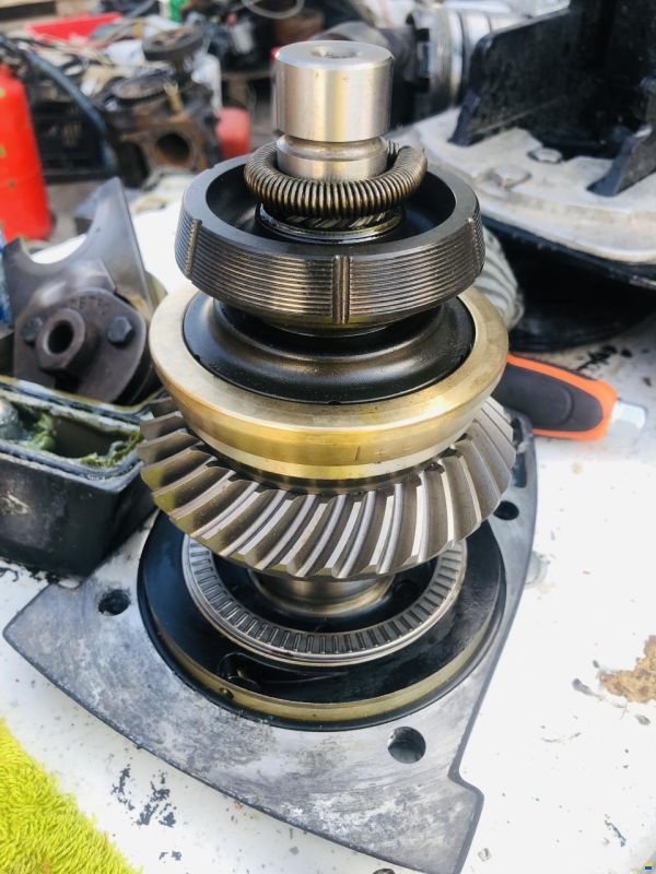 Baja 38 Special